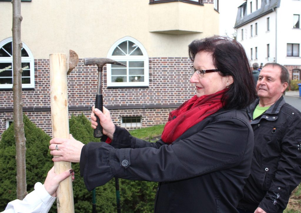 Winterlinde - Tag des Baumes