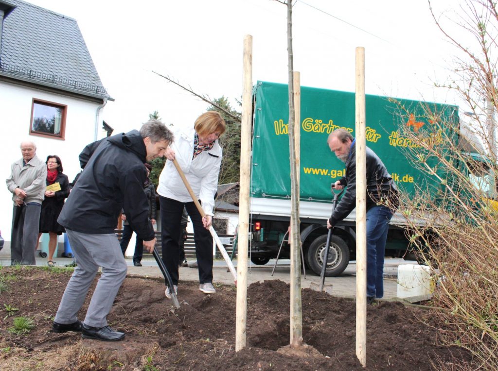 Winterlinde - Tag des Baumes